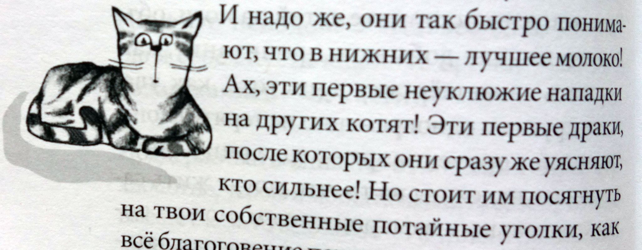 Иллюстрация из книги Я всего лишь кошка Ханны Йохансен